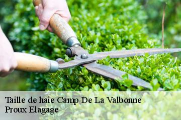 Taille de haie camp-de-la-valbonne-01360 Proux Elagage