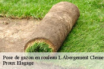 Pose de gazon en rouleau  l-abergement-clemenciat-01400 Proux Elagage