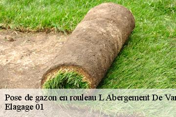 Pose de gazon en rouleau l-abergement-de-varey-01640 Elagage 01