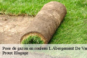 Pose de gazon en rouleau  l-abergement-de-varey-01640 Proux Elagage