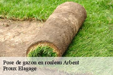 Pose de gazon en rouleau  arbent-01100 Proux Elagage