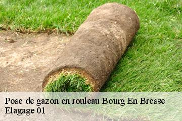 Pose de gazon en rouleau  bourg-en-bresse-01000 Elagage 01
