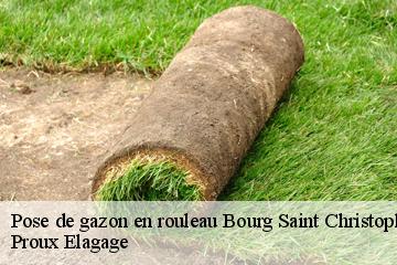 Pose de gazon en rouleau  bourg-saint-christophe-01800 Proux Elagage