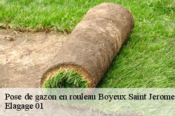Pose de gazon en rouleau boyeux-saint-jerome-01640 Elagage 01