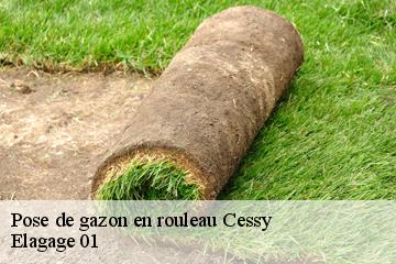 Pose de gazon en rouleau cessy-01170 Elagage 01