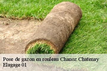 Pose de gazon en rouleau chanoz-chatenay-01400 Elagage 01