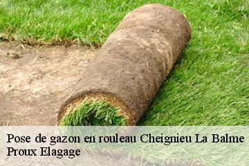 Pose de gazon en rouleau  cheignieu-la-balme-01510 Proux Elagage