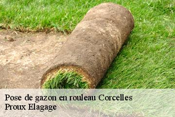 Pose de gazon en rouleau corcelles-01110 Proux Elagage