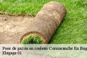 Pose de gazon en rouleau  cormaranche-en-bugey-01110 Elagage 01