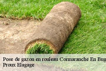 Pose de gazon en rouleau  cormaranche-en-bugey-01110 Proux Elagage