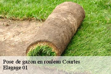 Pose de gazon en rouleau courtes-01560 Elagage 01