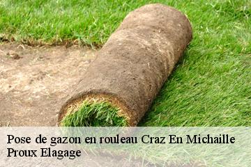 Pose de gazon en rouleau  craz-en-michaille-01200 Proux Elagage
