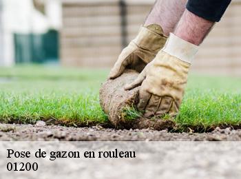 Pose de gazon en rouleau 01200