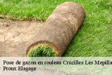 Pose de gazon en rouleau cruzilles-les-mepillat-01290 Proux Elagage