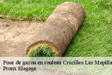 Pose de gazon en rouleau  cruzilles-les-mepillat-01290 Proux Elagage