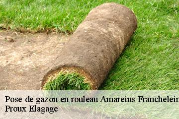 Pose de gazon en rouleau  amareins-francheleins-cesseins-01090 Proux Elagage