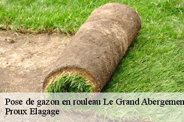 Pose de gazon en rouleau  le-grand-abergement-01260 Proux Elagage