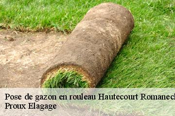 Pose de gazon en rouleau  hautecourt-romaneche-01250 Proux Elagage