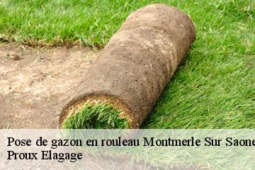 Pose de gazon en rouleau  montmerle-sur-saone-01090 Proux Elagage