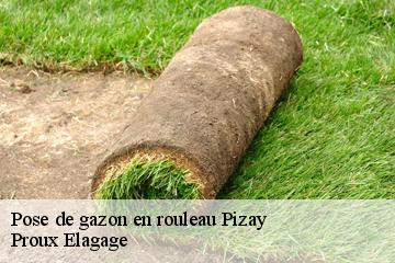 Pose de gazon en rouleau  pizay-01120 Proux Elagage