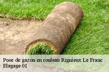 Pose de gazon en rouleau rignieux-le-franc-01800 Elagage 01