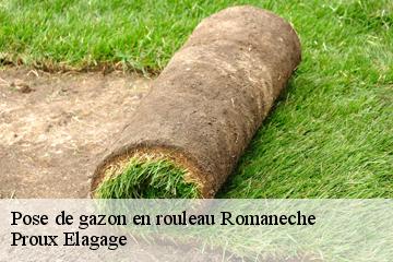 Pose de gazon en rouleau  romaneche-01250 Proux Elagage