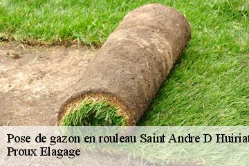 Pose de gazon en rouleau  saint-andre-d-huiriat-01290 Proux Elagage