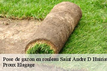 Pose de gazon en rouleau saint-andre-d-huiriat-01290 Proux Elagage