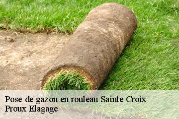 Pose de gazon en rouleau  sainte-croix-01120 Proux Elagage