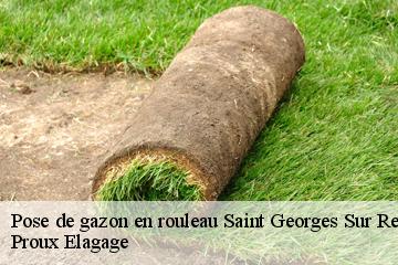 Pose de gazon en rouleau  saint-georges-sur-renon-01400 Proux Elagage