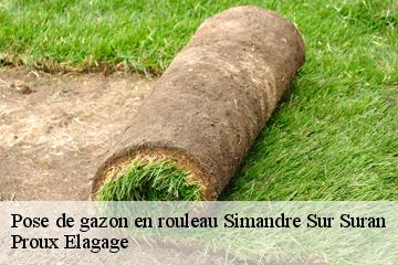 Pose de gazon en rouleau  simandre-sur-suran-01250 Proux Elagage