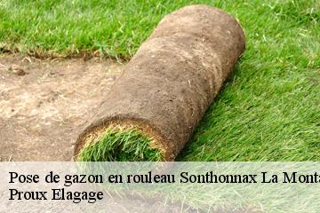 Pose de gazon en rouleau  sonthonnax-la-montagne-01580 Proux Elagage