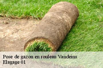 Pose de gazon en rouleau vandeins-01660 Elagage 01
