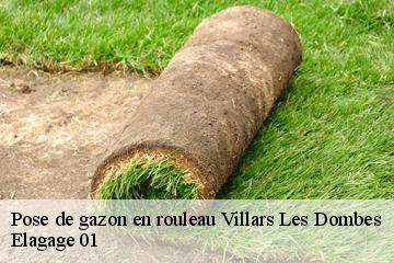 Pose de gazon en rouleau villars-les-dombes-01330 Elagage 01
