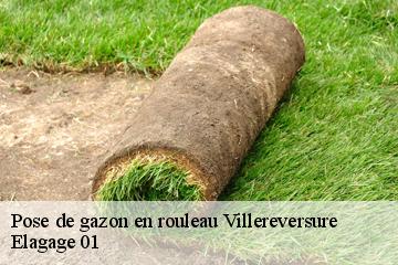 Pose de gazon en rouleau  villereversure-01250 Elagage 01
