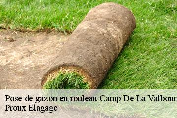 Pose de gazon en rouleau  camp-de-la-valbonne-01360 Proux Elagage