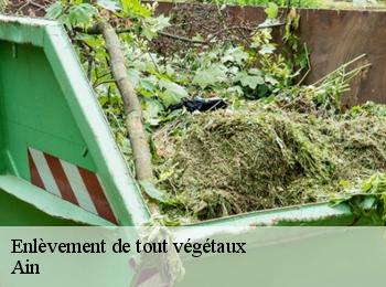 Enlèvement de tout végétaux Ain