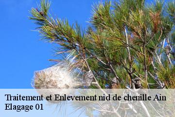 Traitement et Enlevement nid de chenille 01 Ain  Elagage 01