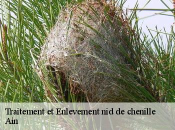 Traitement et Enlevement nid de chenille Ain 