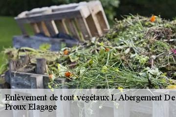 Enlèvement de tout végétaux l-abergement-de-varey-01640 Proux Elagage