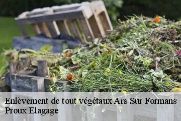 Enlèvement de tout végétaux ars-sur-formans-01480 Proux Elagage