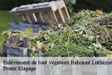 Enlèvement de tout végétaux belmont-luthezieu-01260 Proux Elagage