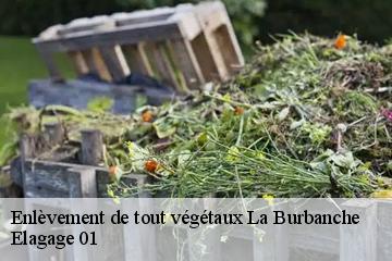Enlèvement de tout végétaux  la-burbanche-01510 Elagage 01