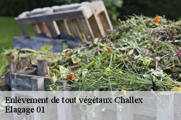 Enlèvement de tout végétaux challex-01630 Elagage 01