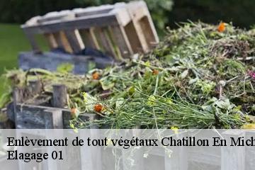 Enlèvement de tout végétaux  chatillon-en-michaille-01200 Elagage 01