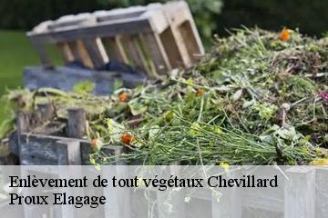 Enlèvement de tout végétaux chevillard-01430 Proux Elagage