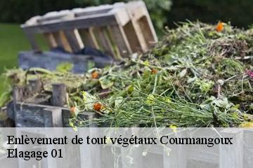 Enlèvement de tout végétaux courmangoux-01370 Elagage 01