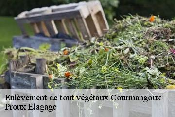 Enlèvement de tout végétaux courmangoux-01370 Proux Elagage