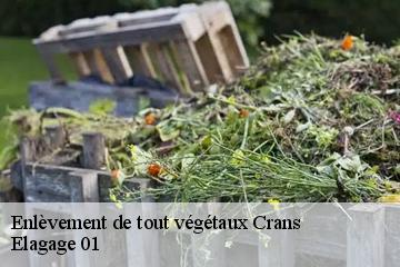 Enlèvement de tout végétaux  crans-01320 Elagage 01