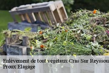 Enlèvement de tout végétaux cras-sur-reyssouze-01340 Proux Elagage
